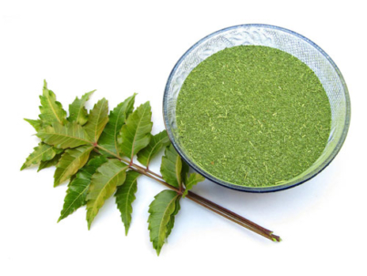 neem leaf powder